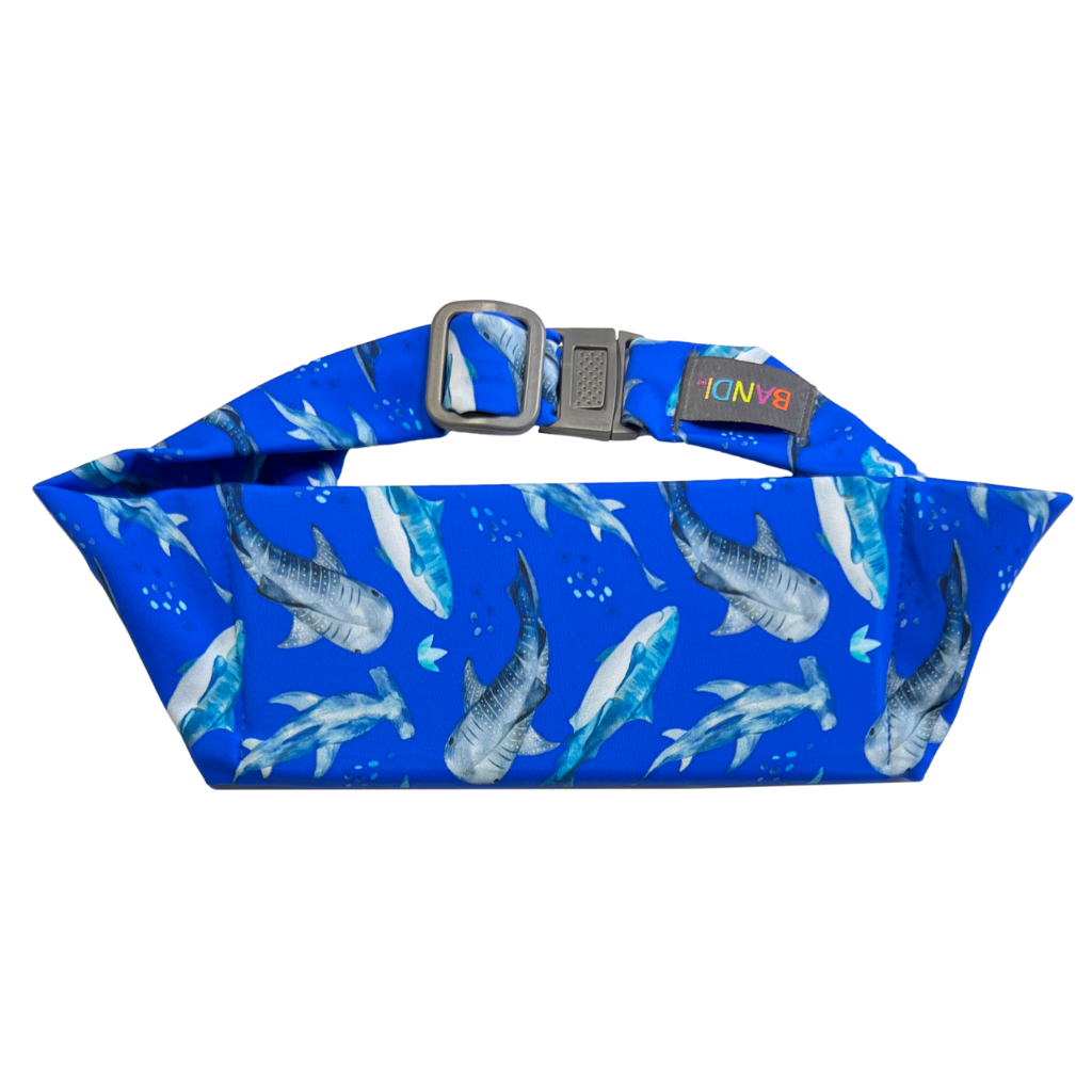 Kids Pocketed Belt - Sharks