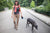 Walking dog wearing Bandi Wear