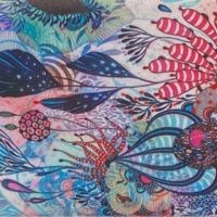 Coral Reef