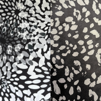 Moonflower Pebbles