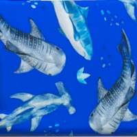 Sharks