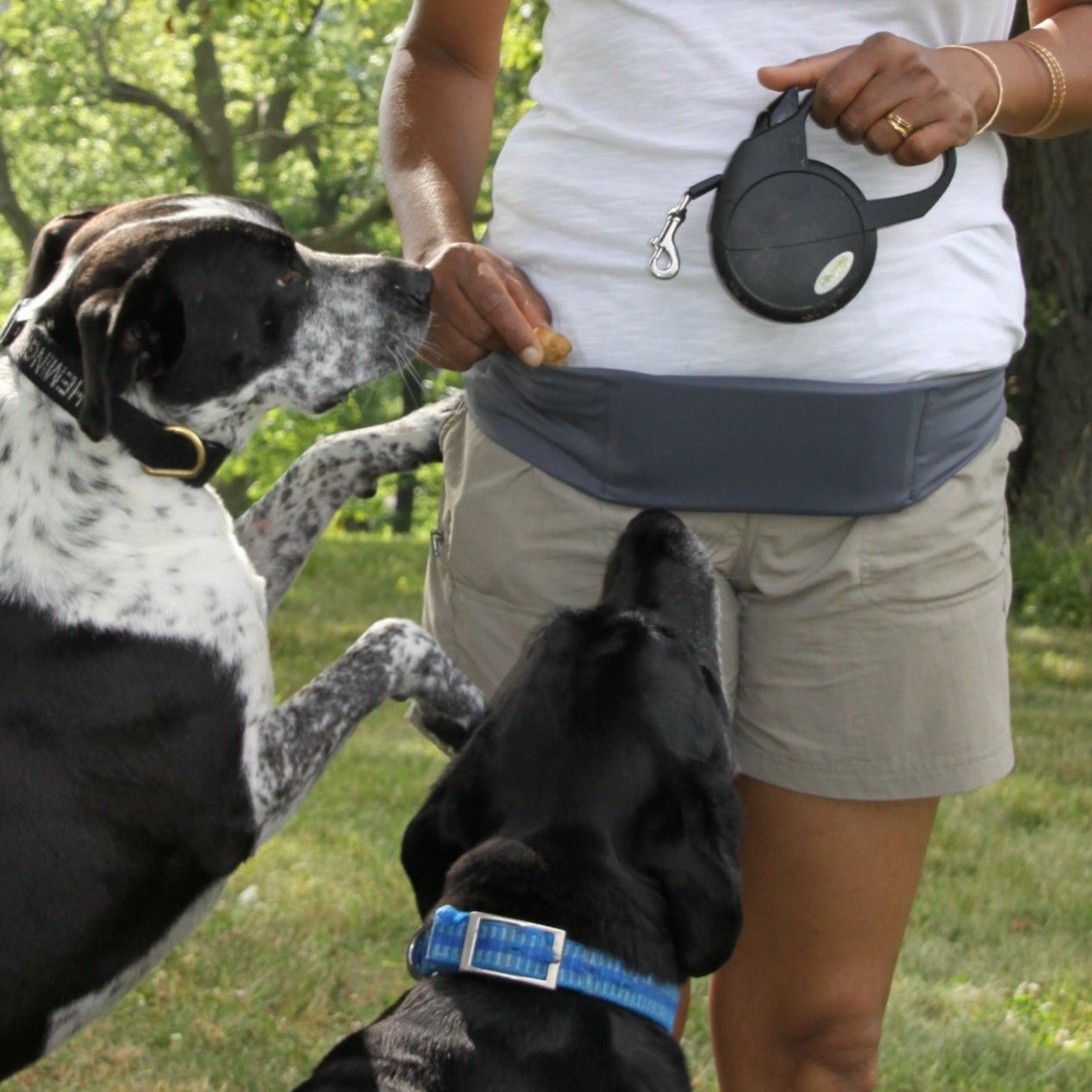 BANDI Grey Pocketed Belt shown on woman pulling dog treat out of pocket